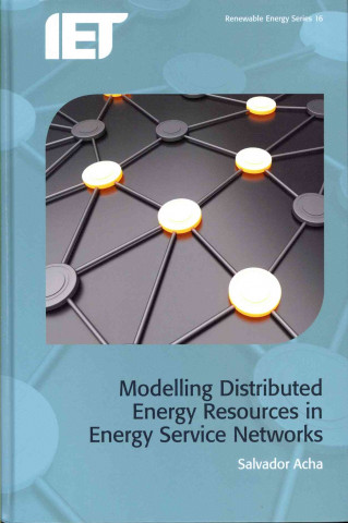 Modelling Distributed Energy Resources in Energy Service Net