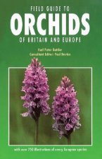 Field Guide to Orchids of Britain