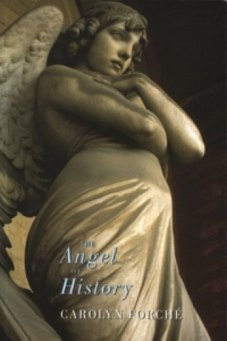 Angel of History