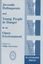 Juvenile Delinquents and Young People in Danger in an Open E