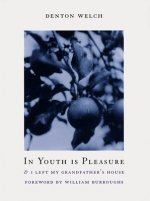 In Youth is Pleasure