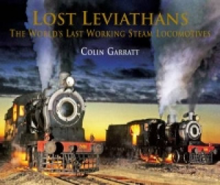 Lost Leviathans