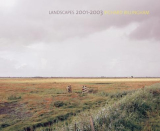 Richard Billingham: Landscapes: 2001-2003