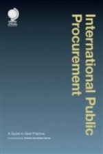 International Public Procurement