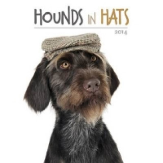 Hounds in Hats 2014