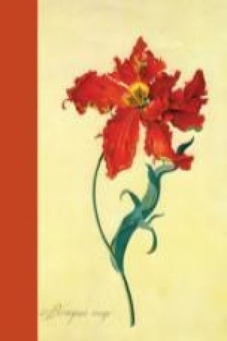 Journal : Parrot Tulip