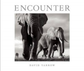 Encounter