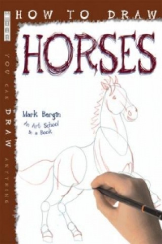 How To Draw Horses