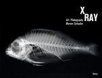 X-Ray Art-Photography