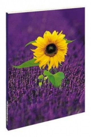 Lavender Field with Sunflower