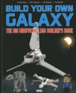 Build Your Own Galaxy