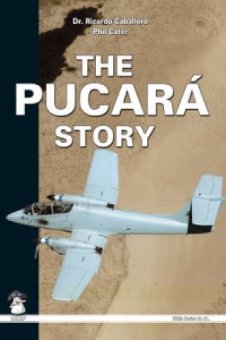 Pucara Story