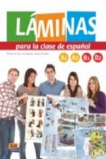 Laminas Para La Clase De Espanol