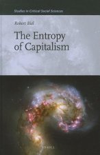Entropy of Capitalism