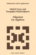 Nilpotent Lie Algebras