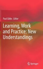 Learning, Work and Practice: New Understandings