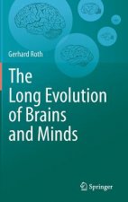 Long Evolution of Brains and Minds