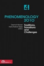 Phenomenology: Selected Essays from Northern Europe: Traditi