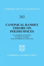 Canonical Ramsey Theory on Polish Spaces