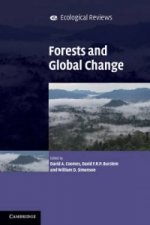 Forests and Global Change