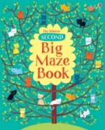 Second Big Maze book