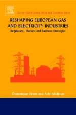 Reshaping European Gas and Electricity Industries