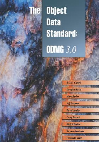 Object Data Standard