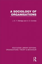 Sociology of Organisations (RLE: Organizations)