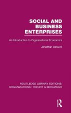Social and Business Enterprises (RLE: Organizations)