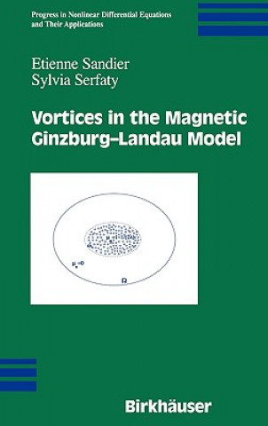 Vortices in the Magnetic Ginzburg-Landau Model