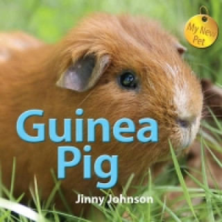 My New Pet: Guinea Pig