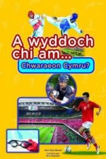 Cyfres a Wyddoch Chi: A Wyddoch Chi am Chwaraeon Cymru?