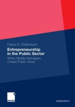Entrepreneurship in the Public Sector