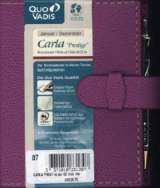 Carla Prestige VZ Club violet 2020
