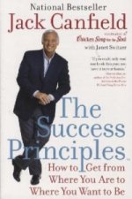 The Success Principles