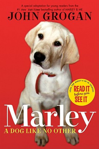 Marley, A Dog Like No Other