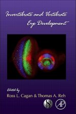 Invertebrate and Vertebrate Eye Development