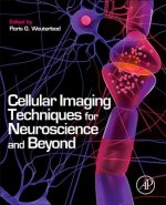 Cellular Imaging Techniques for Neuroscience and Beyond