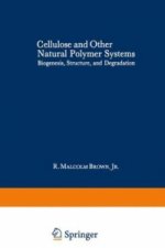 Cellulose and Other Natural Polymer Systems