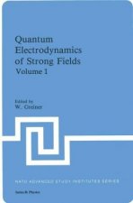 Quantum Electrodynamics of Strong Fields