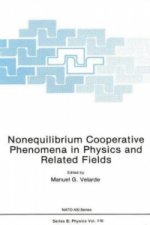 Nonequilibrium Cooperative Phenomena in Physics and Related Fields