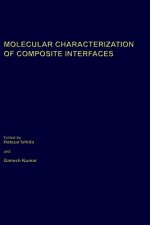 Molecular Characterization of Composite Interfaces