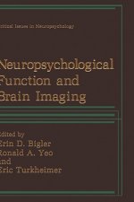 Neuropsychological Function and Brain Imaging