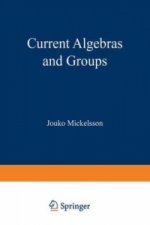 Current Algebras and Groups
