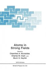 Atoms in Strong Fields