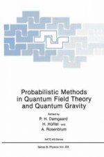 Probabilistic Methods in Quantum Field Theory and Quantum Gravity