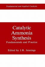 Catalytic Ammonia Synthesis