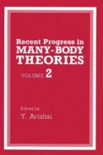Recent Progress in Many-Body Theories, Volume 2