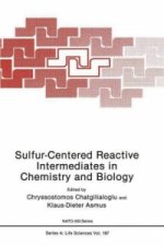 Sulphur-centred Reactive Intermediates in Chemistry and Biology