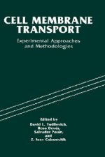 Cell Membrane Transport